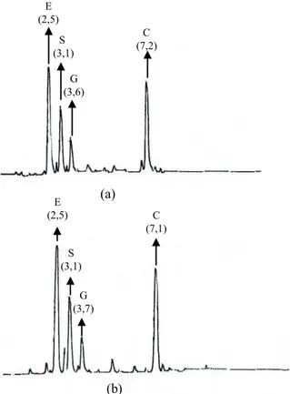 Gambar  5  Kromatogram  hasil  KCKT  fasa  terbalik  hidrolisat  peptida  γEC  dengan  fasa  diam  kolom  picotaq  C-18,  detektor  flouresensi  pada  panjang  gelombang  440  nm