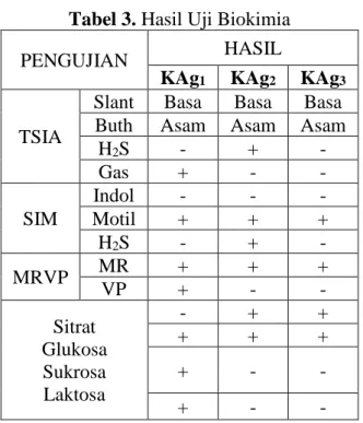 Tabel 3. Hasil Uji Biokimia 