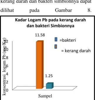 Gambar  8.  Grafik  Kadar  logam  Pb  pada  kerang darah Anadara granosa  dan bakteri simbionnya