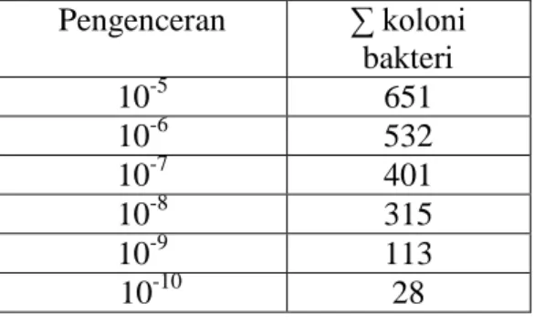 Tabel 4. Jumlah bakteri bagian luar    berdasarkan waktu inkubasi spons  Xestospongia sp      