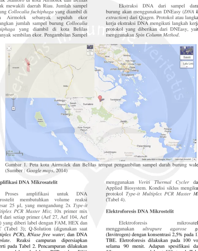 Gambar 1. Peta kota  Airmolek dan Belilas tempat pengambilan sampel darah burung walet