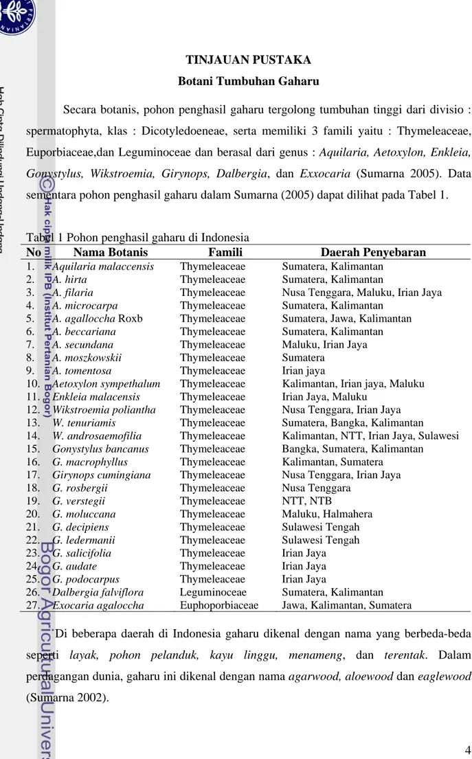 Tabel 1 Pohon penghasil gaharu di Indonesia  