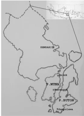 Gambar 3.1.  Peta lokasi tempat pengambilan sampel populasi jati di Kabupaten  Muna (Dolok dan Warangga) dan Kabupaten Buton (Sampolawa) 