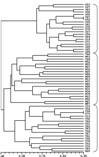 Gambar 4.1.  Dendrogram kemiripan genetika jati tanaman dewasa hasil analisis  kluster dengan metode pengelompokan UPGMA berdasarkan 10  primer mikrosatelit hasil amplifikasi 