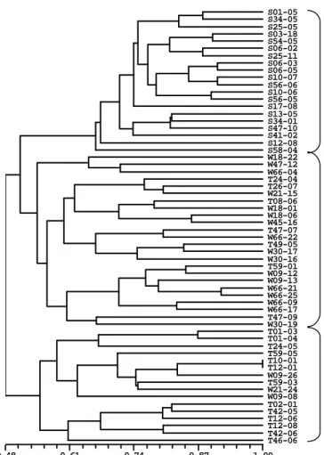Gambar 4.2.  Dendrogram kemiripan genetika jati tanaman semai hasil analisis  kluster dengan metode pengelompokan UPGMA berdasarkan 10  primer mikrosatelit hasil amplifikasi