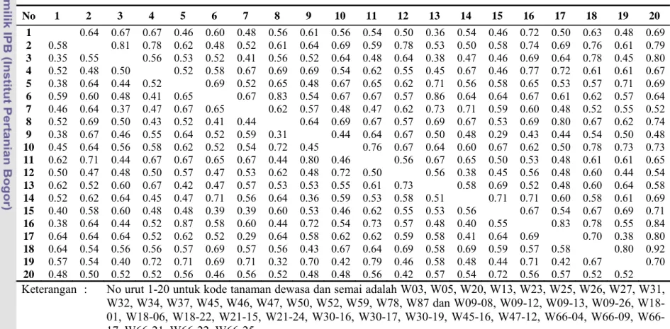 Tabel 4.5.  Matrik kemiripan genetik 20 tanaman dewasa (di bawah diagonal) dan 20 tanaman semai (di atas diagonal) populasi jati  asal Warangga  No  1 2 3 4 5 6 7 8 9 10  11  12  13  14  15  16  17  18  19  20  1  0.64 0.67 0.67 0.46 0.60 0.48 0.56 0.61 0.