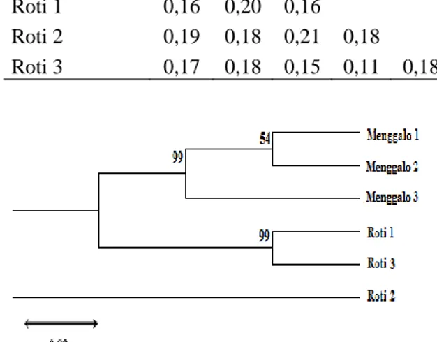 Tabel 6.  Jarak  Genetik  Berdasararkan  Sekuen  Nukleotida Gen Meisal dari Ubi  Kayu  Menggalo dan Roti 
