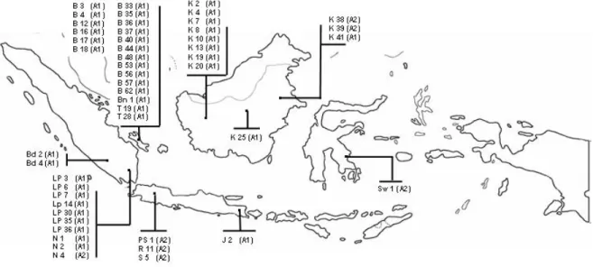 Gambar  2.    Variasi  tipe-tipe  kawin  isolat  Phytophthora  capsici    lada  yang  pernah  ditemukan  pada  pertanaman  lada  di  Indonesia