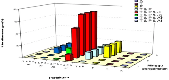 Gambar 4.   Serangan P. capsici pada berbagai kombinasi perlakuan bahan organik dan Trichoderma