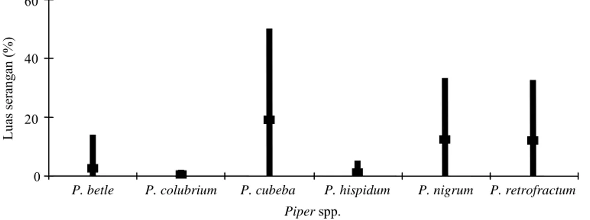 Gambar 1. Kisaran luas nekrosa yang ditimbulkan oleh 50 isolat Phytophthora pada masing-masing tanaman (Piper spp.).