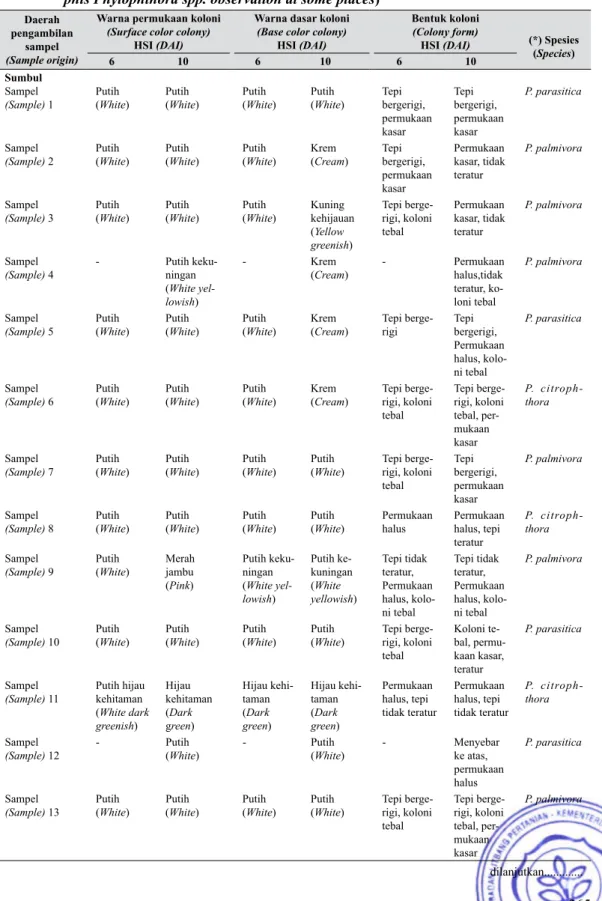 Tabel 1.   Pengamatan Phytophthora spp. secara makroskopis pada beberapa lokasi (Macrosco- (Macrosco-phis Phytophthora spp