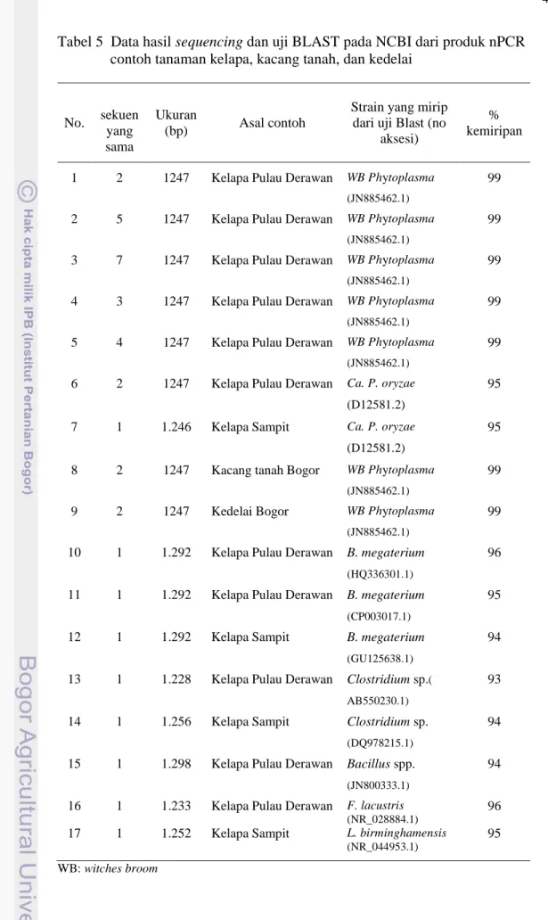 Tabel 5  Data hasil sequencing dan uji BLAST pada NCBI dari produk nPCR contoh tanaman kelapa, kacang tanah, dan kedelai