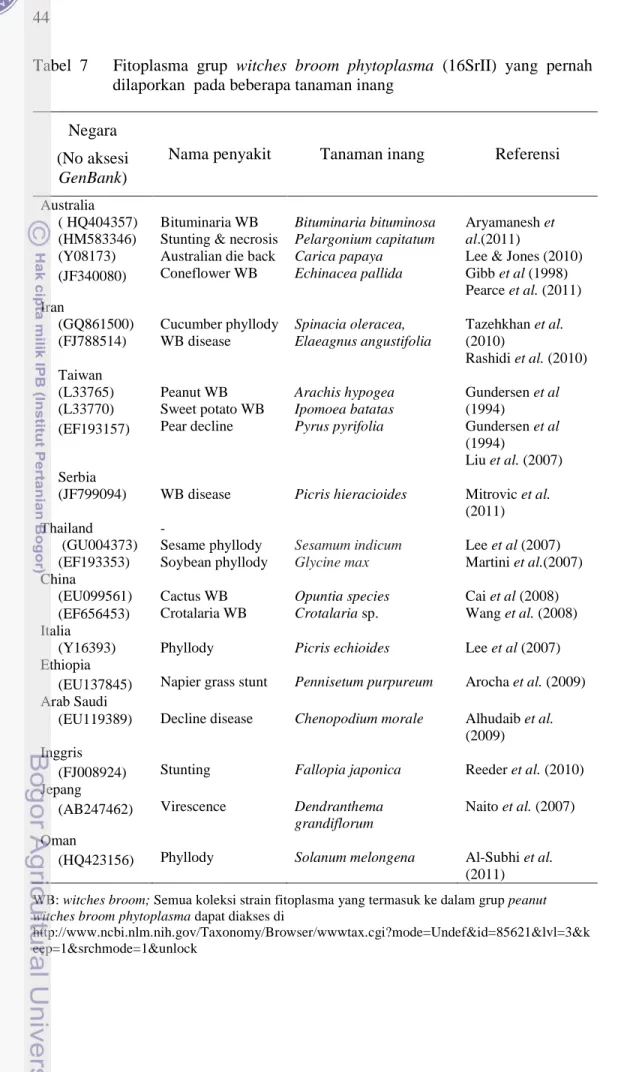 Tabel  7 Fitoplasma  grup witches  broom  phytoplasma (16SrII)  yang  pernah dilaporkan  pada beberapa tanaman inang