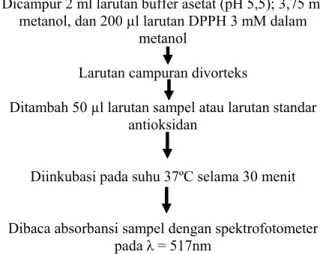 Diagram 1. Urutan pengukuran aktivitas antioksidan metode  DPPH (Kubo et  al. 2002; Molyneux , 2004)