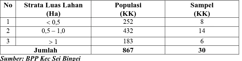 Tabel  4. Populasi dan Sampel Petani Tanaman Jagung di  Desa Namu Ukur Utara tahun 2006 