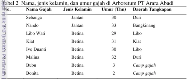 Tabel 2  Nama, jenis kelamin, dan umur gajah di Arboretum PT Arara Abadi 