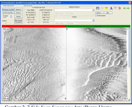 Gambar 2. 2 Side Scan Sonar raw data (Pageo Utama,  2016) 