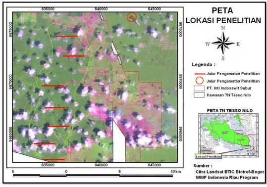Gambar 1  Peta lokasi penelitian TNTN dan kebun kelapa sawit PT. Inti Indosawit Subur  Ukui, Kabupaten Pelalawan, Propinsi Riau