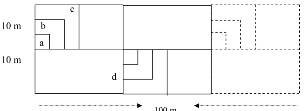 Gambar 3  Bentuk unit contoh metode garis berpetak dalam inventarisasi vegetasi. 