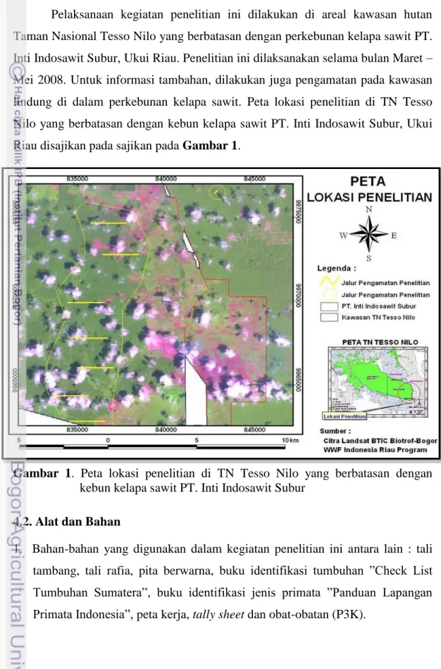 Gambar  1.  Peta  lokasi  penelitian  di  TN  Tesso  Nilo  yang  berbatasan  dengan  kebun kelapa sawit PT