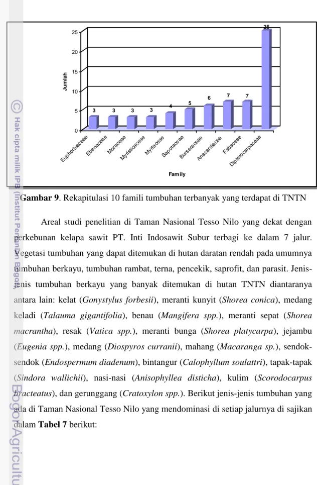 Gambar 9. Rekapitulasi 10 famili tumbuhan terbanyak yang terdapat di TNTN 