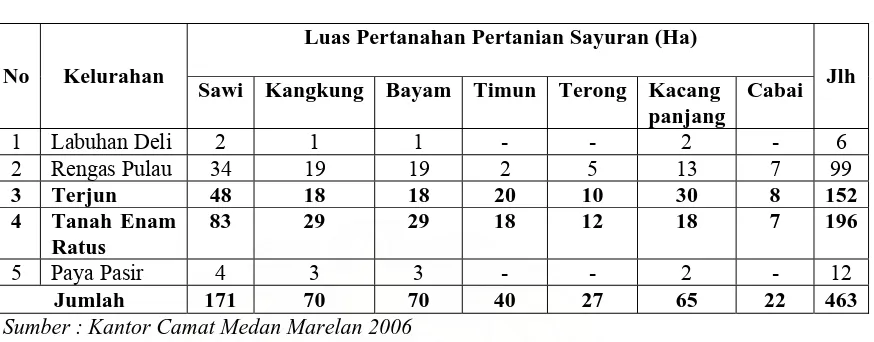 Tabel 2. Potensi Pertanahan Pertanian Sayuran di Kecamatan Medan Marelan 