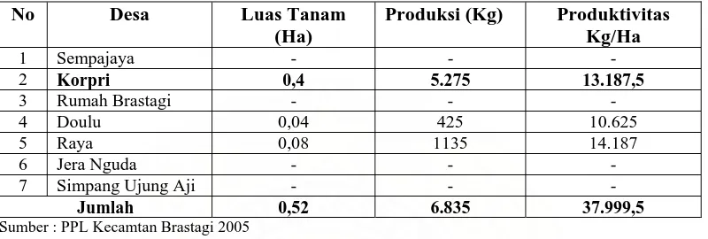 Tabel 2. Luas Tanaman, Produksi, dan Produktivitas Tanaman Stroberi Kecamatan Berastagi Kabupaten Karo Sumatera Utara 2005  