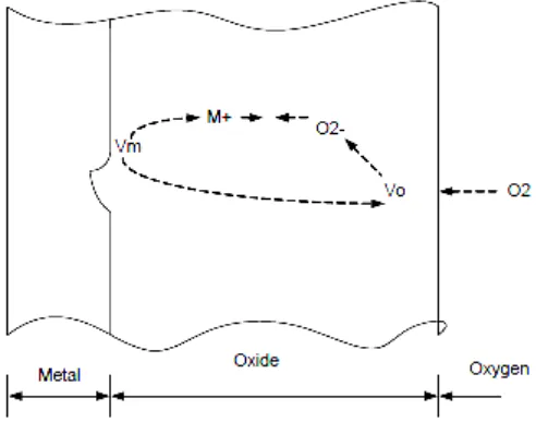 Gambar 2.1. Mekanisme pertumbuhan oksida. 