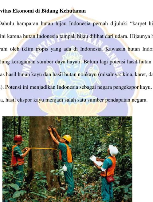Gambar 4. Hutan 
