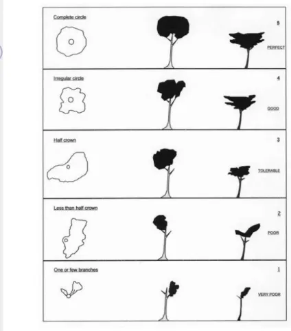 Gambar 5 Klasifikasi bentuk tajuk pohon menurut Dawkins (1958) 
