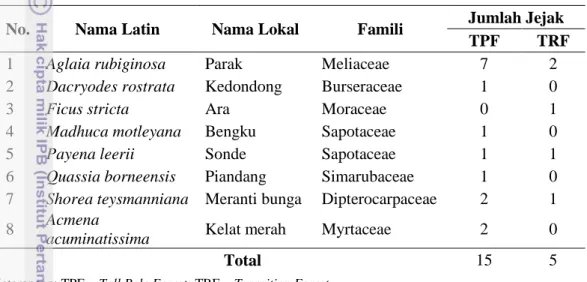 Tabel 4  Jenis-jenis vegetasi yang terdapat jejak beruang madu 