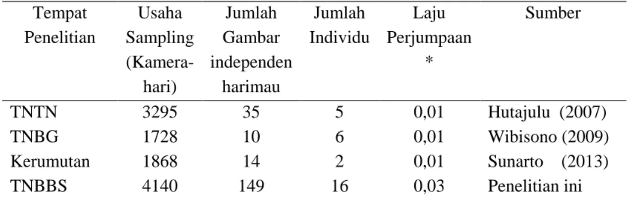 Tabel 3.   Perbandingan hasil identifikasi harimau yang pernah dilakukan di empat   kawasan lindung di Sumatera 