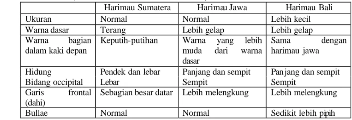 Tabel 2. Perbedaan Morfologi Tiga Subspesies Harimau di Indonesia (Sody  ,1973 dalam  Direktorat PPA 1978) 