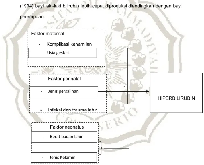 Gambar 2.1 Kerangka Teori 