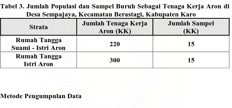 Tabel 3. Jumlah Populasi dan Sampel Buruh Sebagai Tenaga Kerja Aron di Desa Sempajaya, Kecamatan Berastagi, Kabupaten Karo 