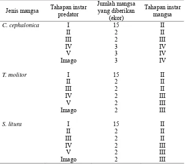 Tabel 1 Jumlah dan tahapan instar mangsa yang diberikan pada setiap tahapan instar predator S