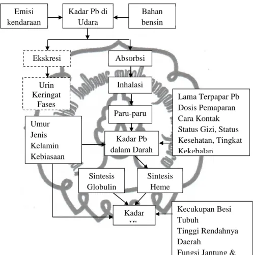 Gambar 2.1 Kerangka Pemikiran Hubungan Kadar Pb dalam Darah dengan Kadar  Hb pada Pekerja SPBU di Wilayah Surakarta 