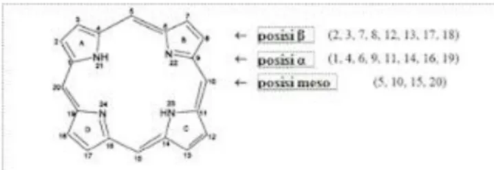 Gambar 2.4. Strukt ur molekul porfirin ( Makarska &amp; Radzki, 2 002)