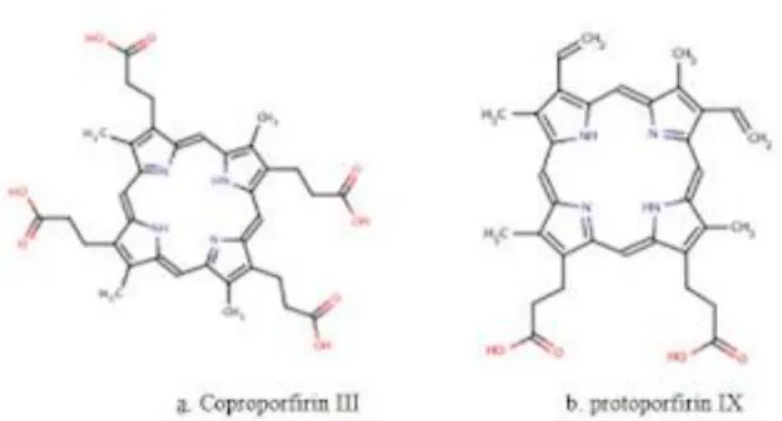 Gambar 2.6. Struktur molekul Coproporfirin III dan protoporfirin IX (HMD, 2008)