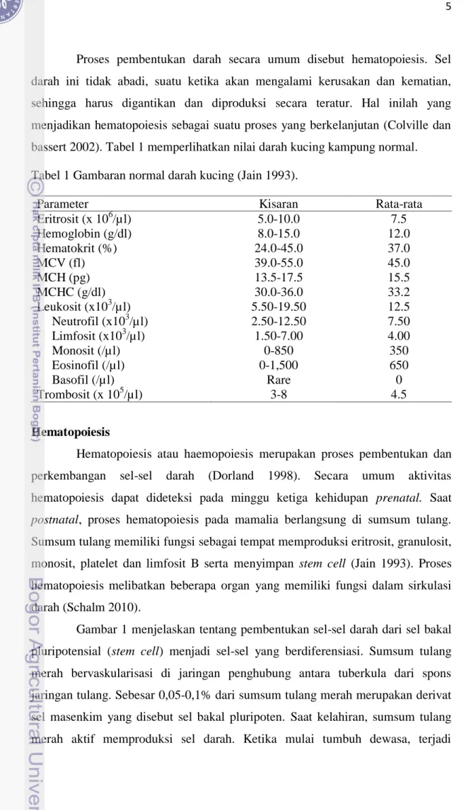 Tabel 1 Gambaran normal darah kucing (Jain 1993). 