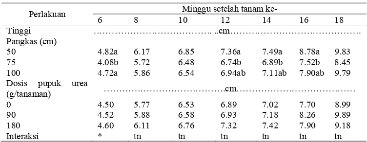 Tabel 4.   Pertambahan tinggi tanaman jambu biji pada berbagai perlakuan tinggi pangkas dan dosis pupuk urea   