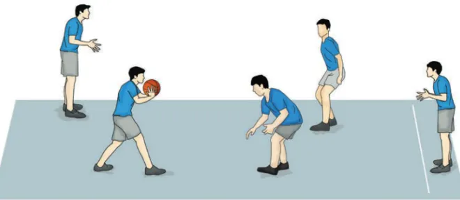 Gambar 1.13 Bola raja