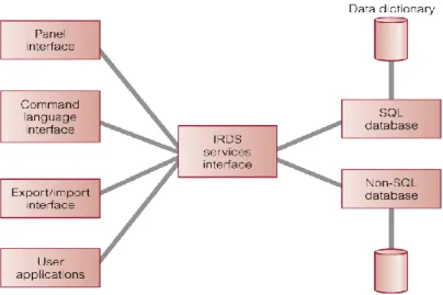 Gambar 2.12 IRDS (Connolly,2005) 