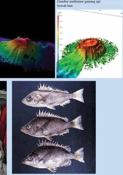 Gambar multisinar gunung api  bawah laut.