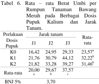 Tabel  5.  Rata  –  rata  Jumlah  Umbi  per  Rumpun  Tanaman  Bawang  Merah  pada  Berbagai  Dosis  Pupuk Kalium dan Jarak Tanam