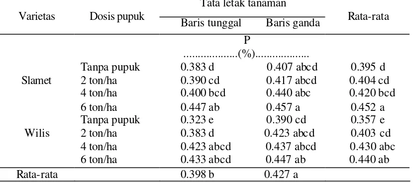 Tabel 20. Pengaruh kombinasi  varietas dan dosis pupuk kandang ayam secara alur dan tata letak tanaman terhadap rata-rata kandungan P daun