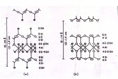 Gambar 2.4.  (a) Model Struktur montmorilonit menurut Edelman dan Favajee, dan (b) Model struktur menurut Hofmann dan Endell (Tan, 1982)  