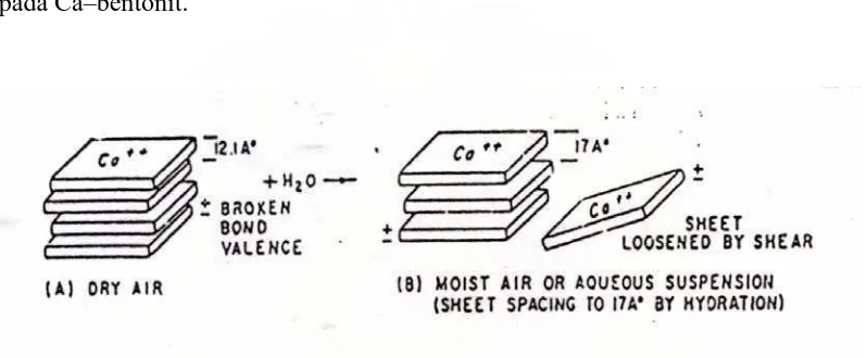 Gambar 2.7. Mekanisme Hidrasi dan Dispersi pada Ca-bentonit (Figueras, F., 1988) 