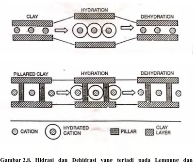 Gambar 2.8.  Hidrasi dan Dehidrasi yang terjadi pada Lempung dan Lempung Terpilar (PILC) (Pinnavaia, 1985) 