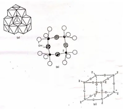 Gambar 2.10. Struktur Spesies Polimer Al13 (a), Zr4 (b) dan Si8 (c) (Burch, R., 1997)  